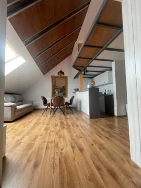 NEW amazing Loft savoya nr1 Self check-in old city centre